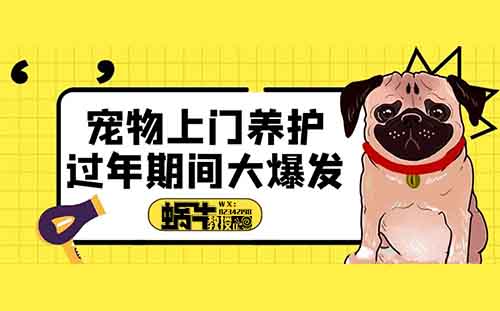 宠物上门喂养，一单30+，过年期间轻松日入700+