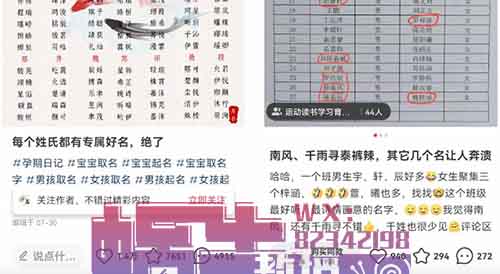 宝宝起名项目,一单进账200+,长期稳定项目!