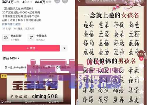 宝宝起名项目,一单进账200+,长期稳定项目!