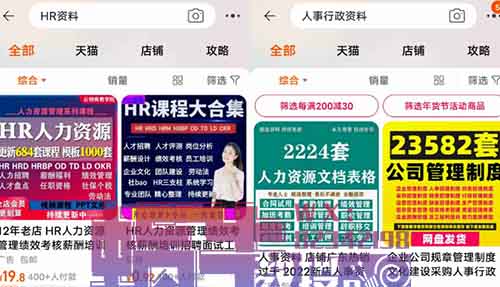职场小项目,HR虚拟资料,需求大,19.9一单!