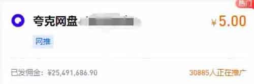 职场小项目,HR虚拟资料,需求大,19.9一单!