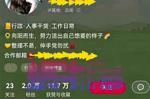 职场小项目,HR虚拟资料,需求大,19.9一单!