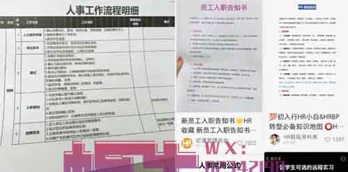 职场小项目,HR虚拟资料,需求大,19.9一单!