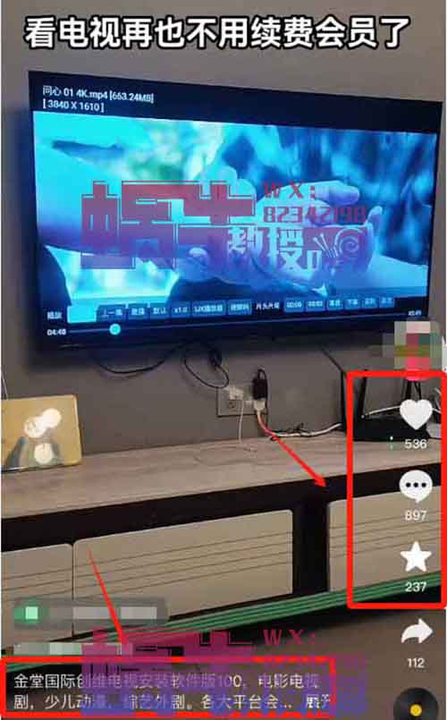 暴利刚需的项目！网络电视会员纯利润高达100+