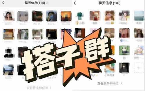 一单9.9-29.9,搭子经济项目