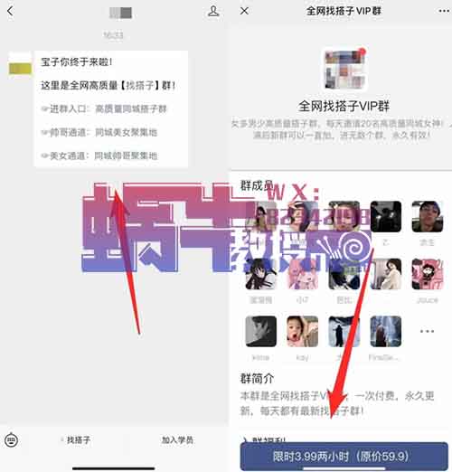 一单9.9-29.9,搭子经济项目