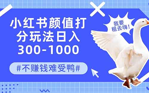 小红书颜值打分项目，粉丝亲测赚了700，全套玩法复盘分享