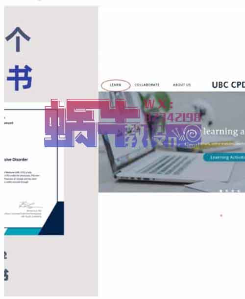 【月入过万】每日一个免费证书项目实操解密，简单上手易变现！