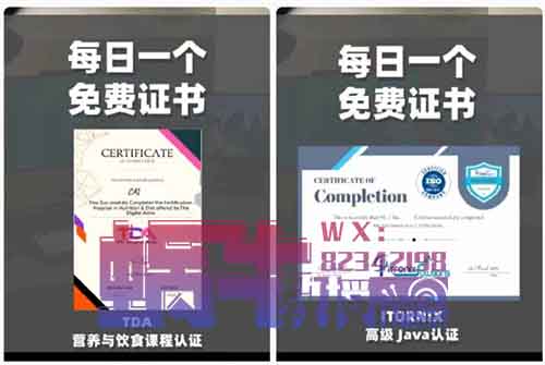 【月入过万】每日一个免费证书项目实操解密，简单上手易变现！