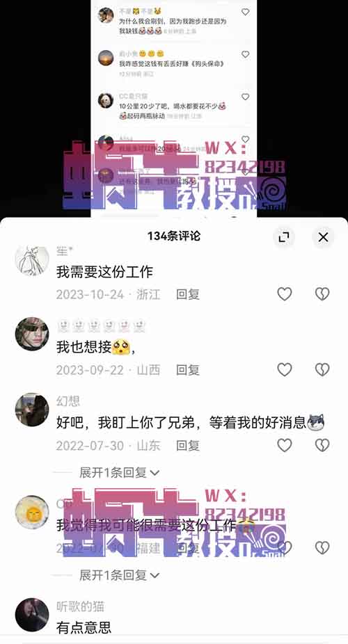 月入上万+，冷门小众项目