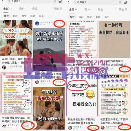 可长期操作的母婴育儿领域-神童出世