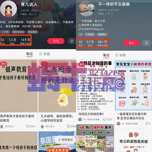 可长期操作的母婴育儿领域-神童出世