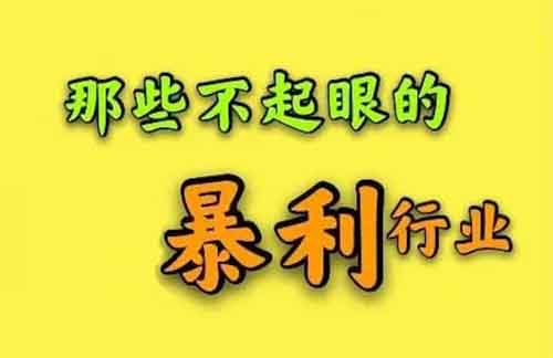 有些不起眼的小项目，收入真的惊人！