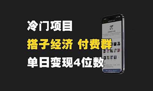 冷门项目拆解，搭子经济付费群，单日变现4位数玩法