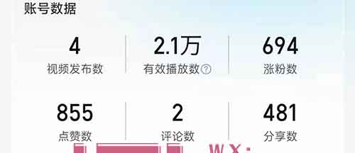 亲测拼夕夕无脑搬运项目，单月收益￥3000+！