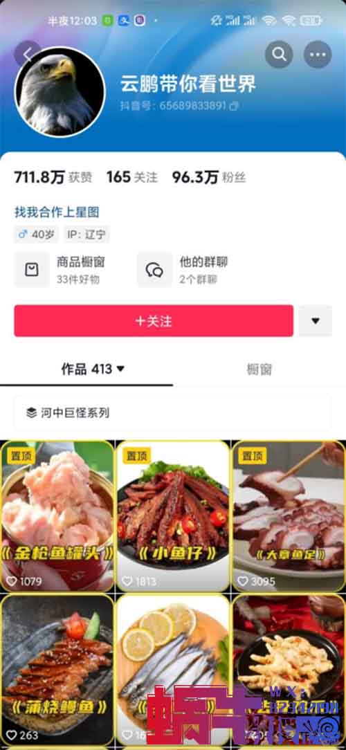 搬运海外视频并解说,卖货、广告变现
