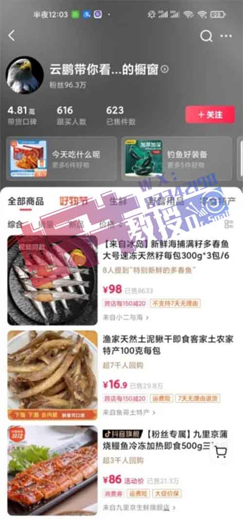 搬运海外视频并解说,卖货、广告变现