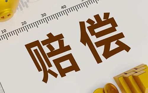 美团外卖赔偿项目,披萨虚假宣传尺寸问题,退一赔三不满500按500!项目免费讲解!