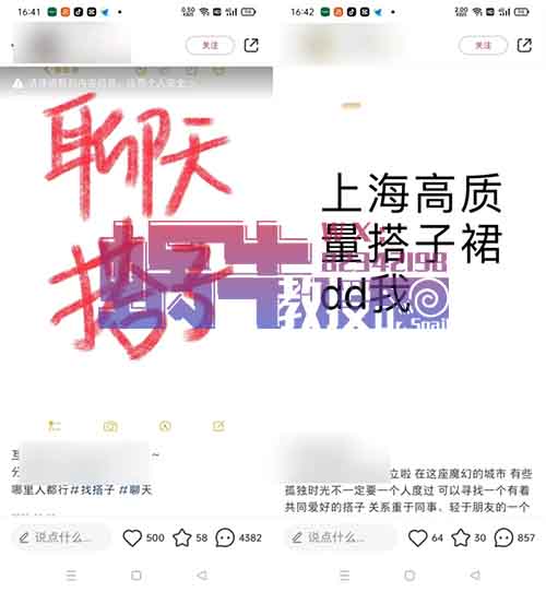 【找搭子】项目爆火，简单操作，日入800+