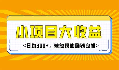 小项目大收益:日均300+,被忽视的赚钱良机