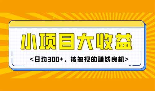 小项目大收益：日均300+，被忽视的赚钱良机