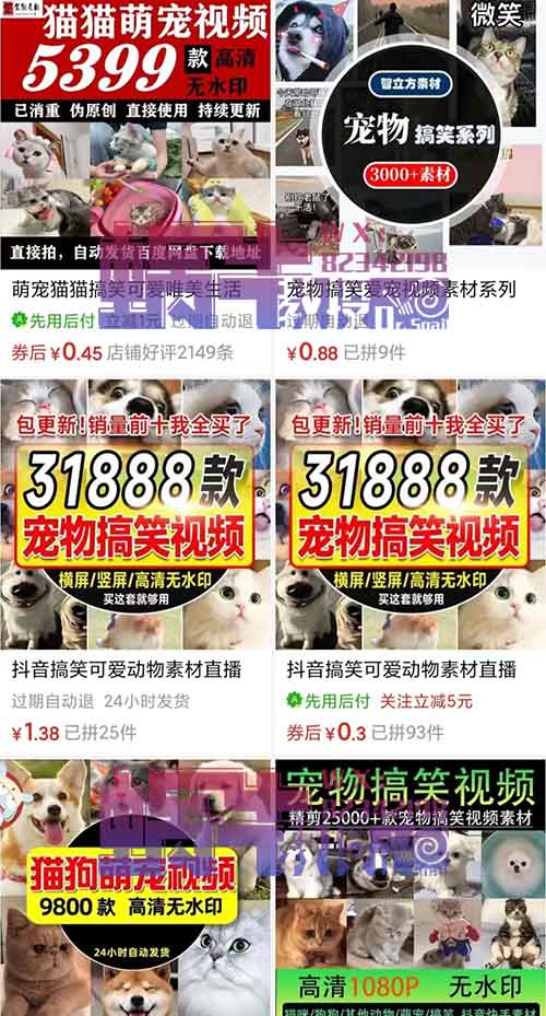 萌宠类短视频,流量非常爆炸,小白轻松上手