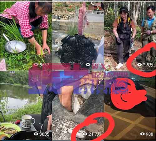 视频号无脑新玩法，简单剪辑撸长期收益