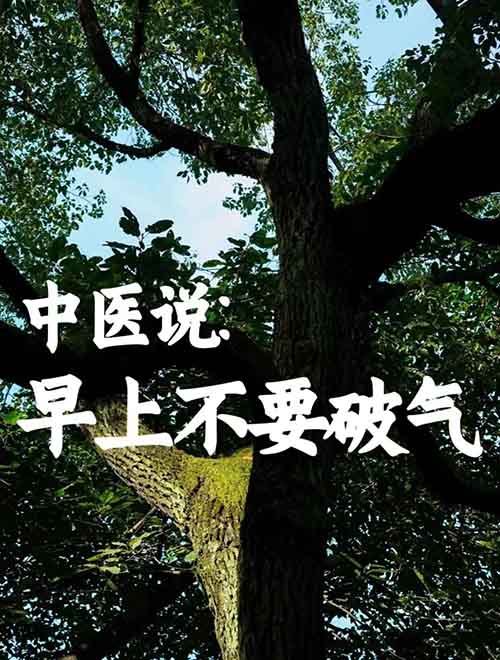 在小红书卖养生虚拟资料，年入50万