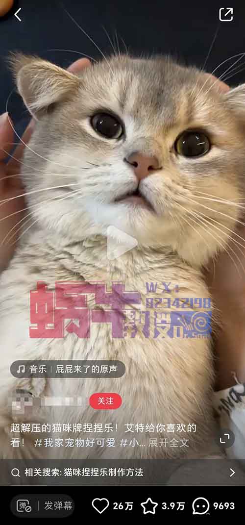 萌宠热潮来袭！小白也能轻松上手的副业秘籍，流量爆表不是梦！