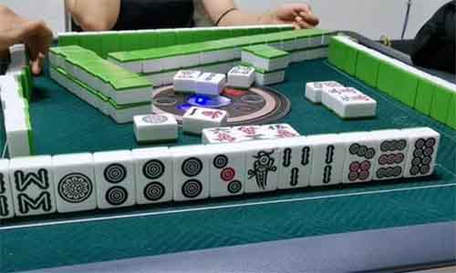 边牧打麻将，抖音宠物新赛道！