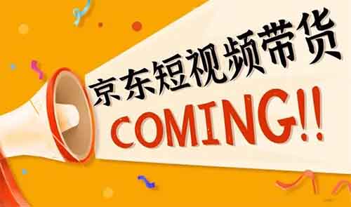 京东短视频带货项目，几分钟一条，单日收益1000+