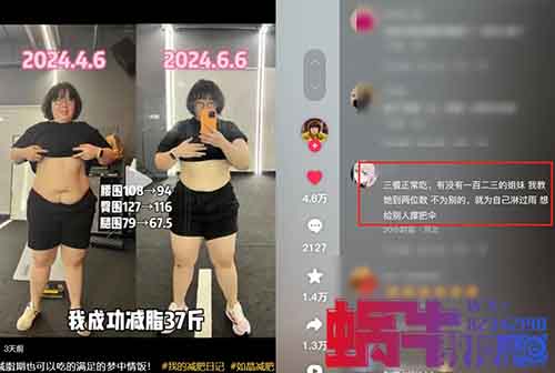 自己减肥，顺便赚了500多个