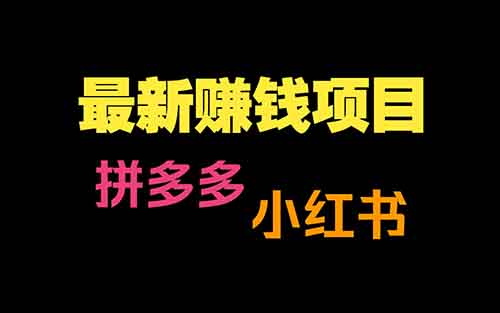 拼多多十元成本,小红书年入百万