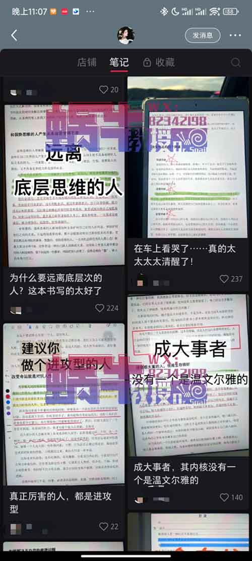 一个月入5万的虚拟项目,操作简单,每天半小时,还可以矩阵放大!