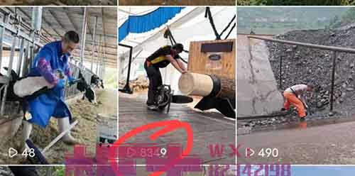vivo短视频平台怎么赚钱?无脑搬运,轻松收益