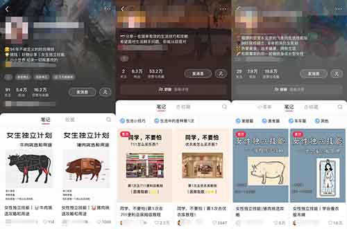 女生独立计划,47 条图文笔记涨粉 46 万+