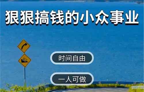 小众领域，半年搞了20个