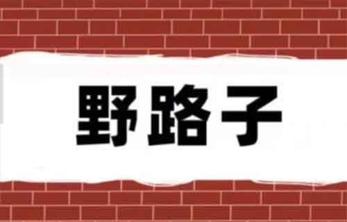 小红书最新的野路子玩法:简单粗暴,20天搞了4000+收入!