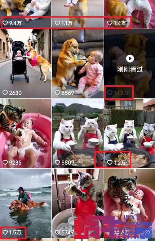 AI宠物带娃搞笑视频项目，条条10W+点赞，保姆级玩法分享