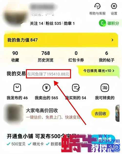 闲鱼无货源电商项目，有人卖这个产品，3个月赚了10w+（保姆级教程）