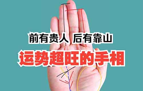 手相引流变现教程，极简玩法小众又暴利-创学笔记