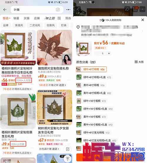 冷门且暴利的小项目叶雕相片，一单利润几十块！
