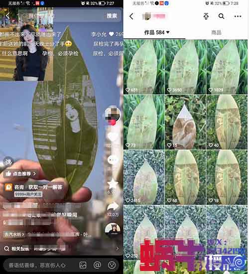 冷门且暴利的小项目叶雕相片，一单利润几十块！