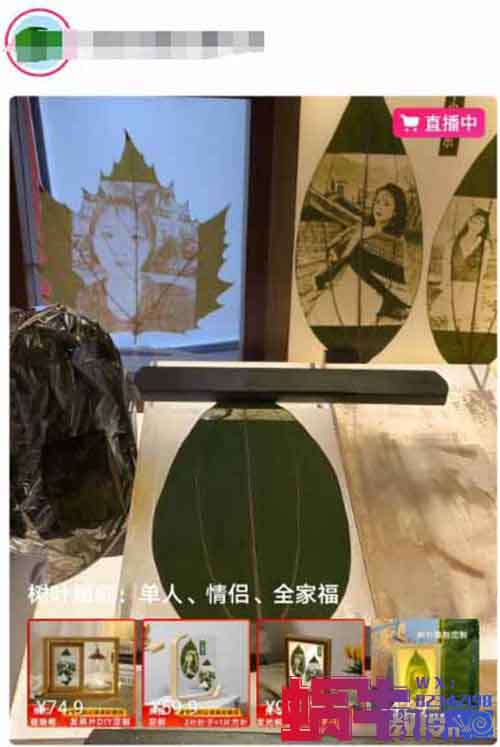 冷门且暴利的小项目叶雕相片，一单利润几十块！