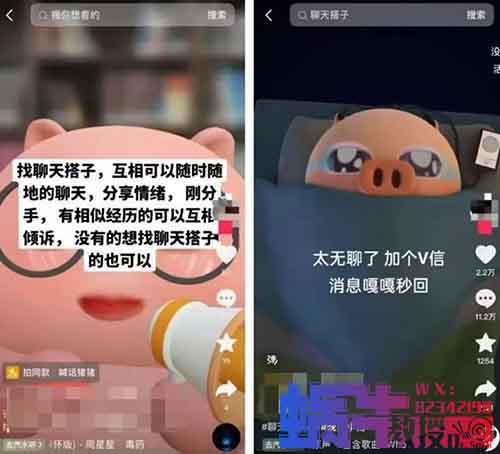 2000字拆解搭子项目新玩法，看完这个方法小白也能月入10000+