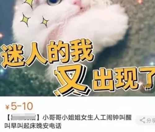 人工叫醒服务，零成本日赚100+，小白新手也能学会