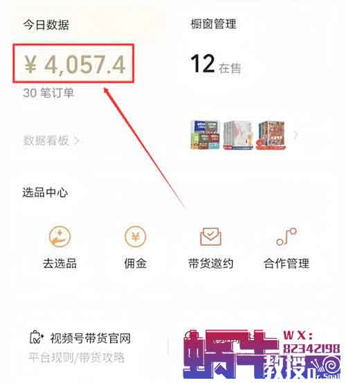 视频号带货项目，靠这个方法，普通人日入800+真的不难（附详细教程）