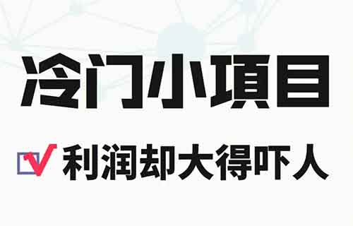 拆解一个月入1万的冷门项目玩法