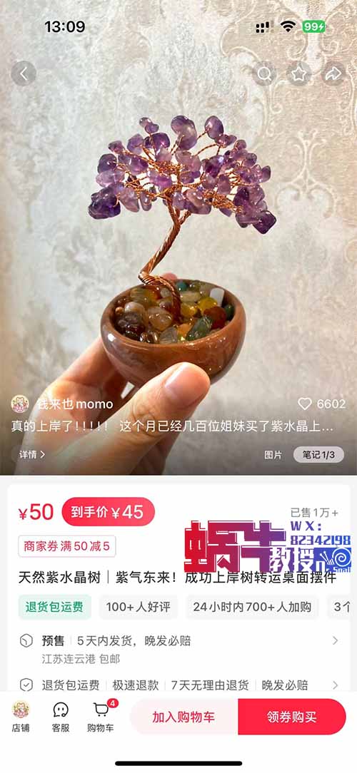 在小红书卖水晶树，客单价45，卖了10000个！