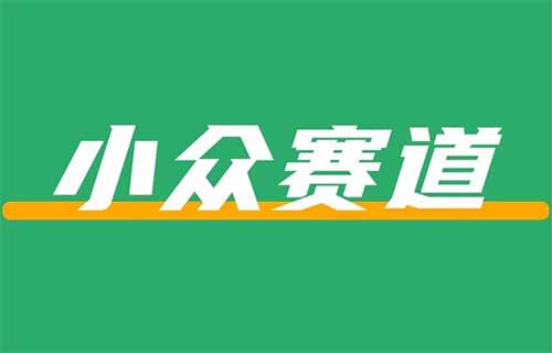 在小红书上卖小众资料，闷声发大财